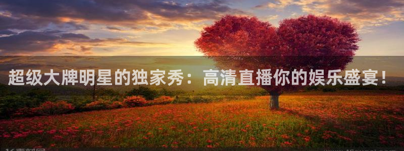西瓜看球手机版：超级大牌明星的独家秀：高清直播你的娱乐盛宴！