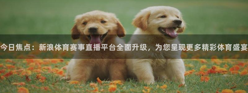西瓜看球安卓版app：今日焦点：新浪体育赛事直播平台全面升级，为您呈现更多精彩体育盛宴