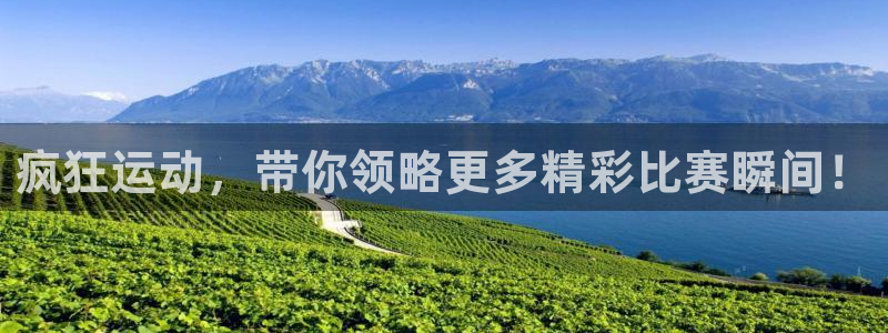 西瓜看球官网app最新版本：疯狂运动，带你领略更多精彩比赛瞬间！