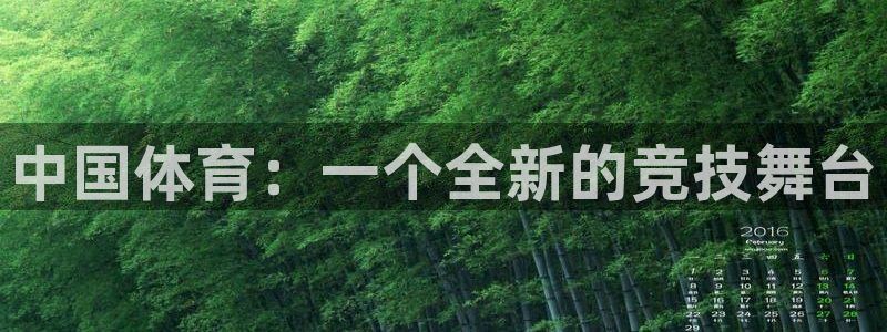 西瓜看球ios链接：中国体育：一个全新的竞技舞台