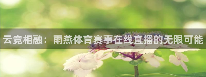 西瓜看球网址：云竞相融：雨燕体育赛事在线直播的无限可能