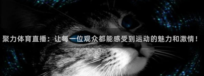西瓜看球世界杯高清版：聚力体育直播：让每一位观众都能感受到运动的魅力和激情！