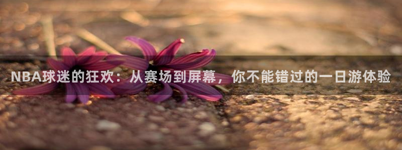 西瓜看球足球直播：NBA球迷的狂欢：从赛场到屏幕，你不能错过的一日游体验