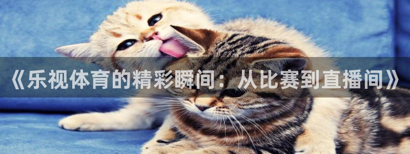 西瓜看球app：《乐视体育的精彩瞬间：从比赛到直播间》
