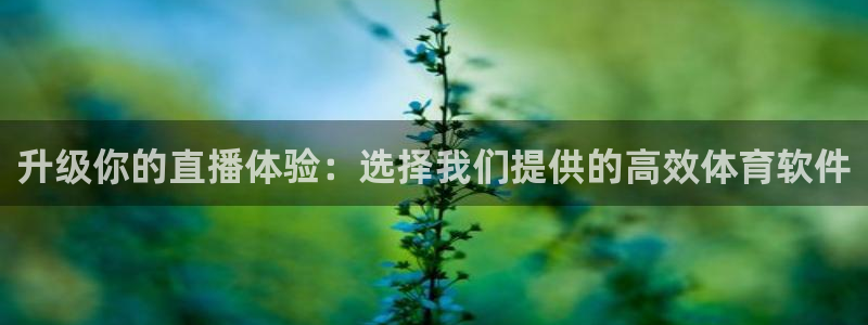 西瓜看球免费观看：升级你的直播体验：选择我们提供的高效体育软件