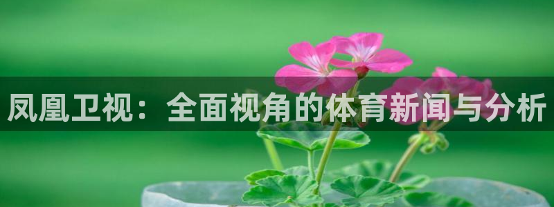 西瓜看球网站：凤凰卫视：全面视角的体育新闻与分析