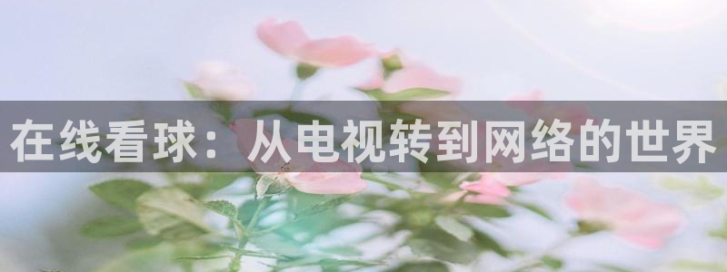 西瓜看球下载