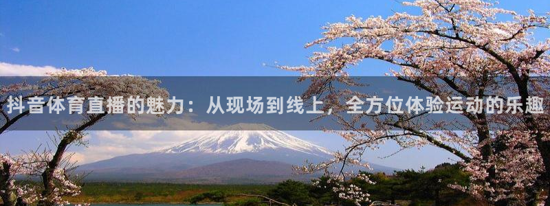 西瓜看球在线：抖音体育直播的魅力：从现场到线上，全方位体验运动的乐趣