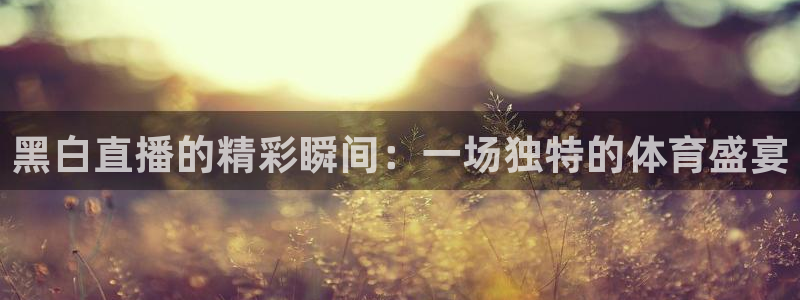 西瓜看球免费直播：黑白直播的精彩瞬间：一场独特的体育盛宴
