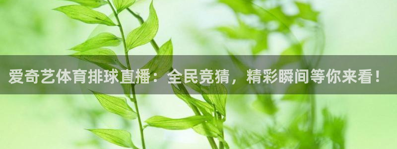 西瓜看球在线免费观看：爱奇艺体育排球直播：全民竞猜，精彩瞬间等你来看！